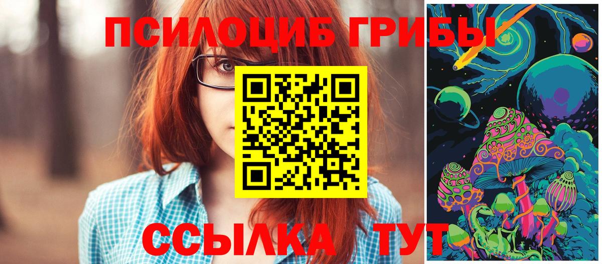 Псилоцибиновые грибы Psilocybe  Вход с VPN  Вышний Волочёк  цена   Галлюциногенные грибы мицелий 