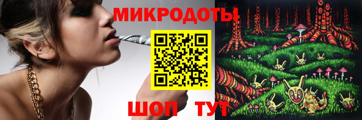 Галлюциногенные грибы Psilocybe Вышний Волочёк